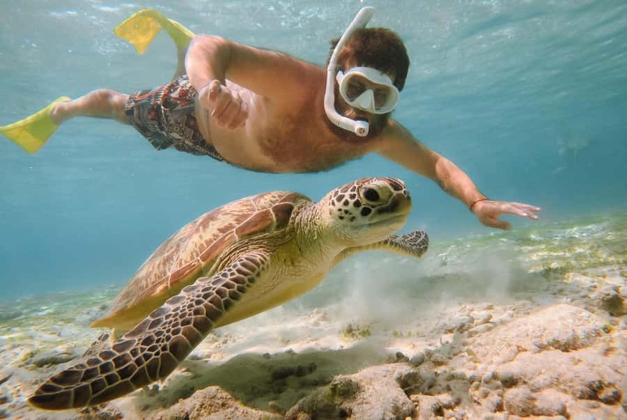 From Gili Air: Snorkeling with Turtles & Underwater Statue - Good To Know  