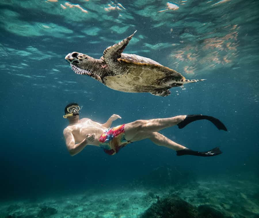 From Gili Air: Snorkeling with Turtles & Underwater Statue - Why This Tour Is Worth It  