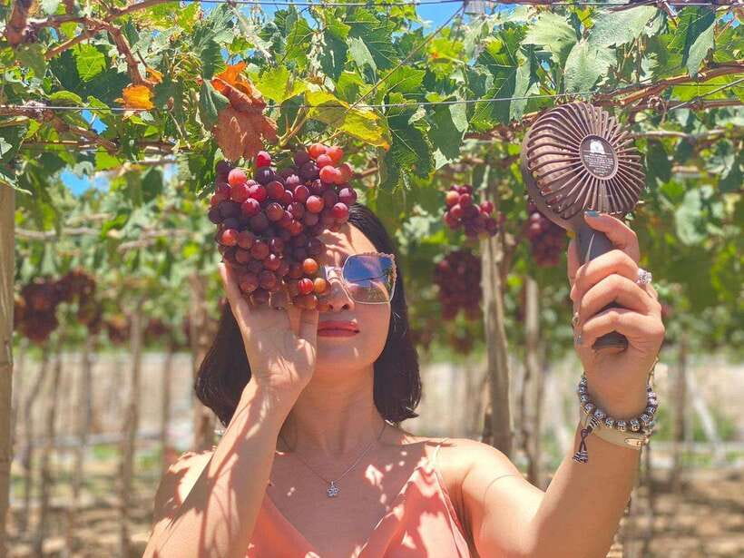 From Nha Trang: Phan Rang Tanyoli Sand Dunes Day Trip - Key Points