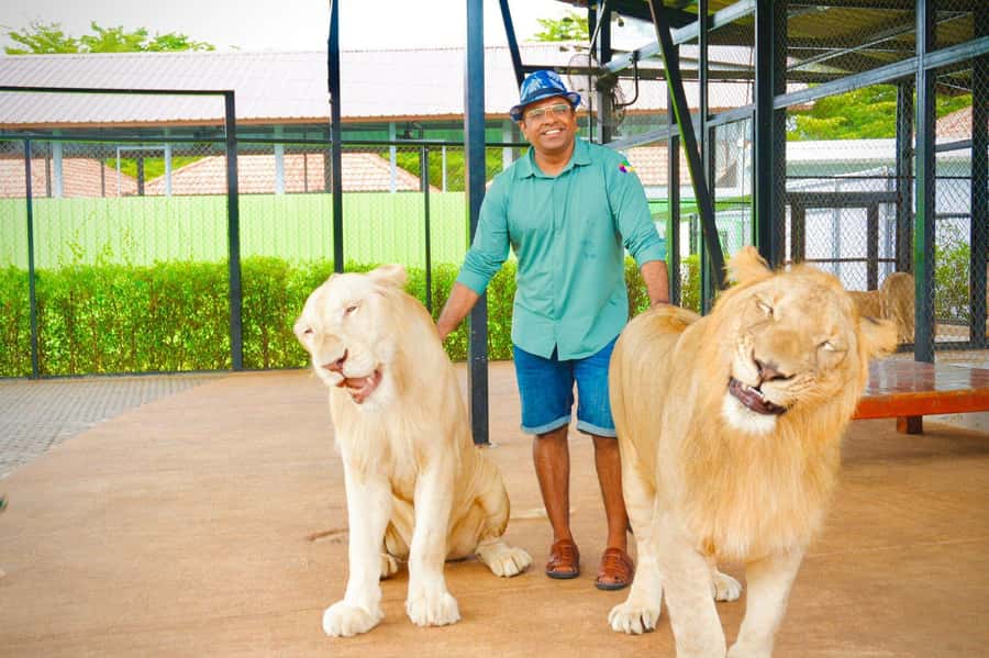 Phuket Big Buddha city tour + Lion Land with tour guide(ENG) - FAQ