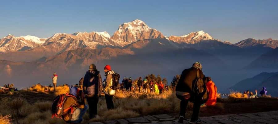 Pokhara: 2 days guided Poon Hill Trek - Day 2: Sunrise at Poon Hill & Return