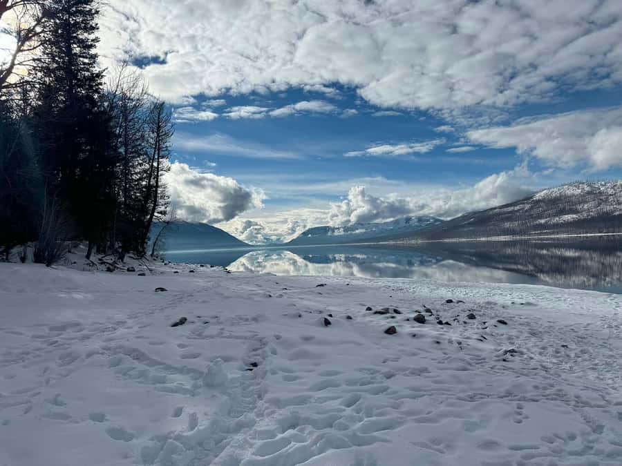 Glacier National Park: Winter Driving Tour with Lunch - The Sum Up