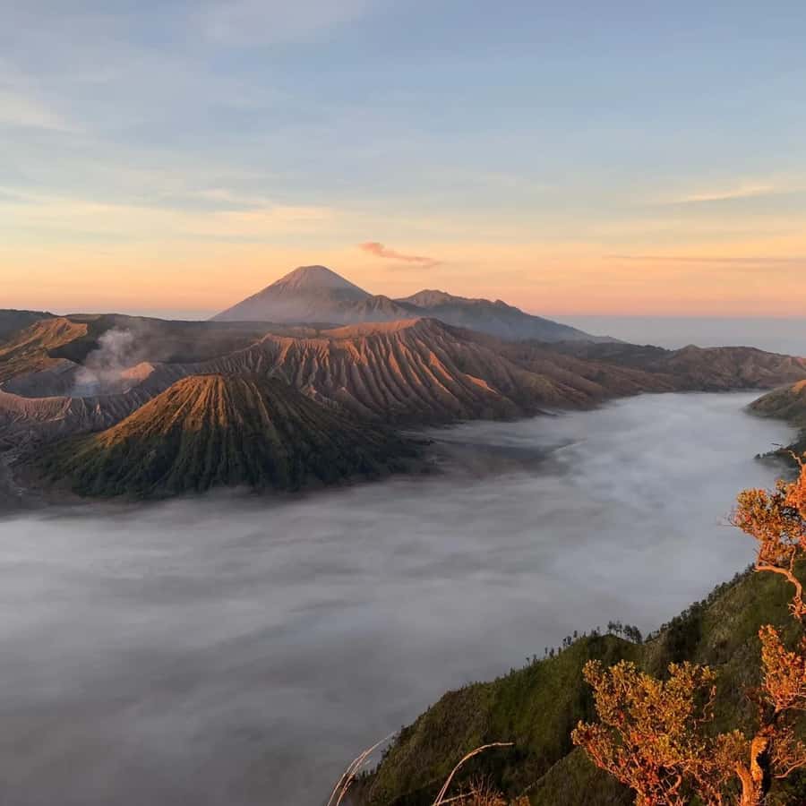 Private car Yogyakarta:Tumpak Sewu Waterfall Bromo Ijen Tour - Who Will Love This Tour?