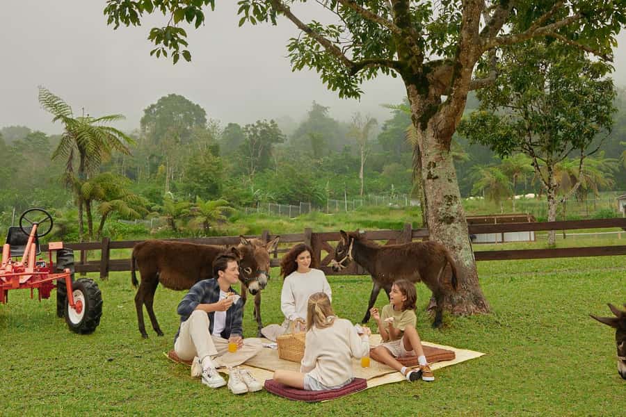 Bali: Farm House Experience with Entry Ticket & Options - Introduction