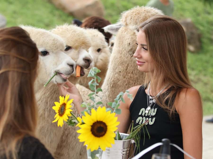 Bali: Farm House Experience with Entry Ticket & Options - Shopping and Souvenirs