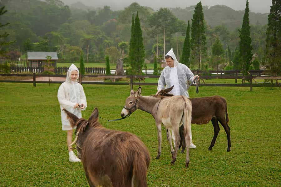 Bali: Farm House Experience with Entry Ticket & Options - Who Will Love This Experience?