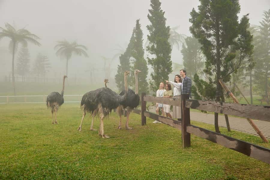 Bali: Farm House Experience with Entry Ticket & Options - Practical Details and Tips