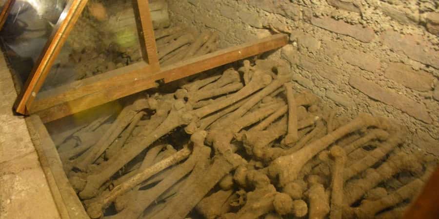 From Lima: City Tour + Magic Water Circuit | Half Day - Final Thoughts