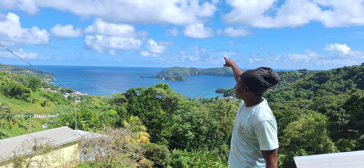 The Little Tobago Tour - Why This Tour Offers Good Value