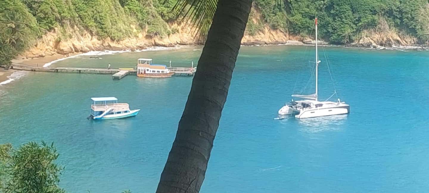 The Little Tobago Tour - The Experience in Detail