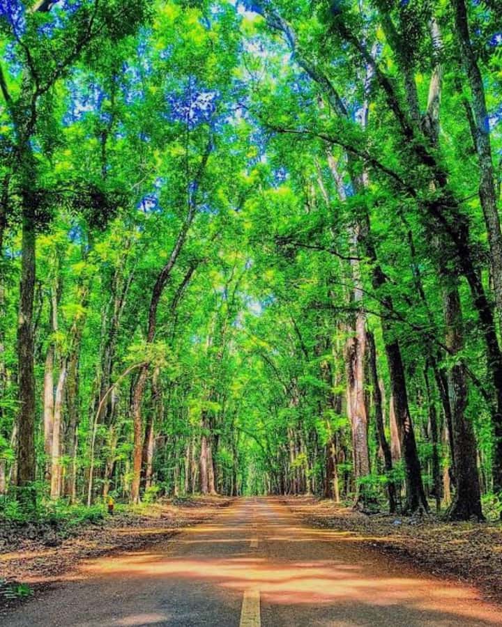 Explore Banyuwangi 3 day 2 night - Itinerary Breakdown: What to Expect on Each Day