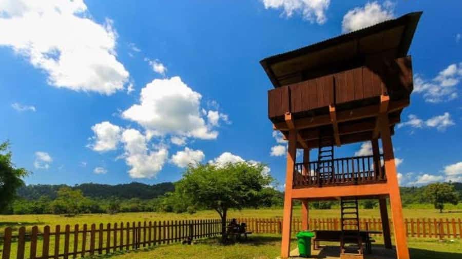 Explore Banyuwangi 3 day 2 night - Local Food and Cultural Insights