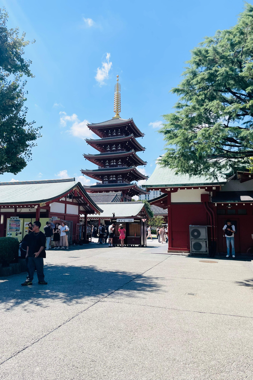 Tokyo City Highlights Tour With English Speaking Driver - Good To Know