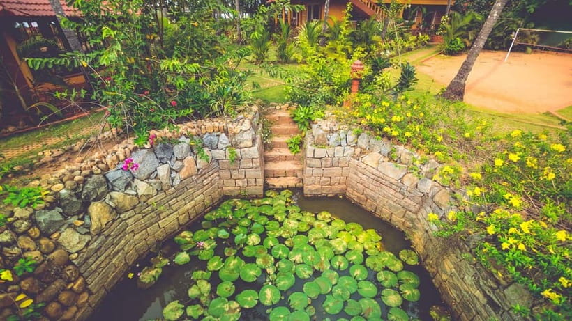 Udupi: Backwaters tour with local cuisine - In-depth Experience Breakdown