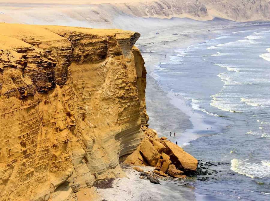 From Lima: Day Trip to Paracas and Huacachina Oasis - Key Points