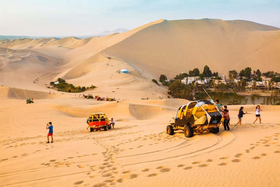From Lima: Day Trip to Paracas and Huacachina Oasis - The Experience in Detail