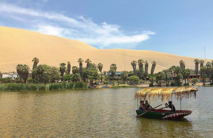 From Lima: Day Trip to Paracas and Huacachina Oasis - Practical Details: What’s Included & What’s Not