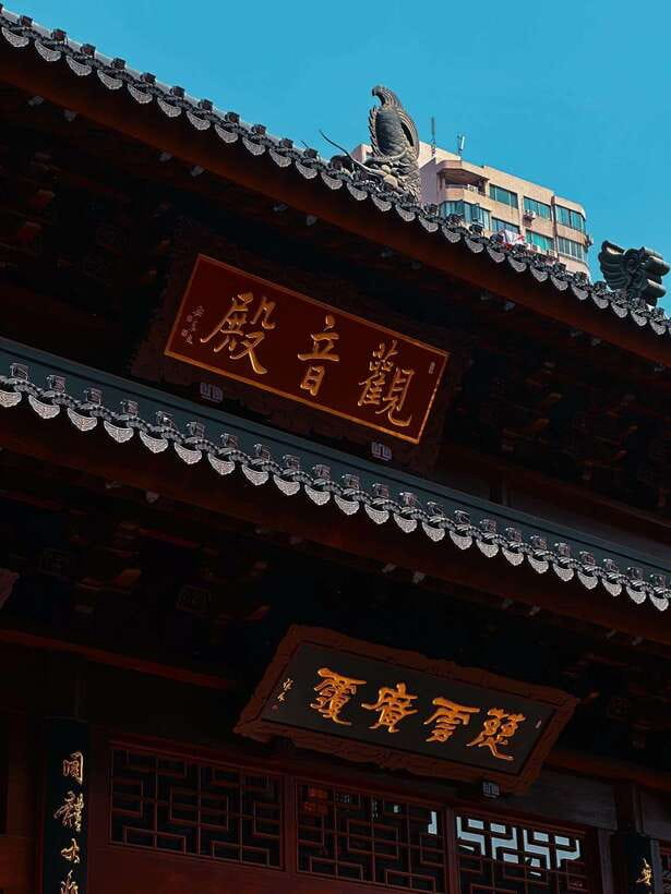 Shanghai: A Day of Culture, History, and Water Town Charm - The Value of This Tour