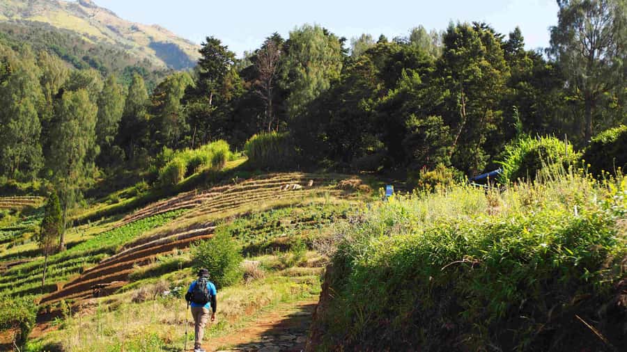 From Yogyakarta: Mount Sumbing Day Hike Via Nepal Van Java - Equipment and Preparation