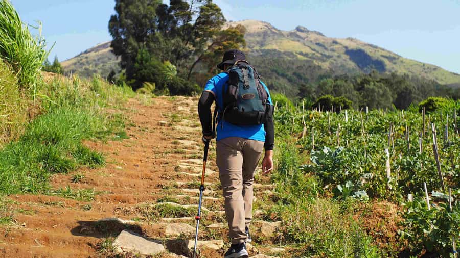 From Yogyakarta: Mount Sumbing Day Hike Via Nepal Van Java - FAQ