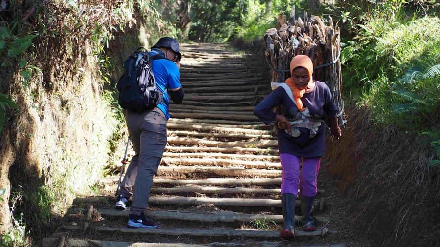 From Yogyakarta: Mount Sumbing Day Hike Via Nepal Van Java - Who Should Consider This Tour?