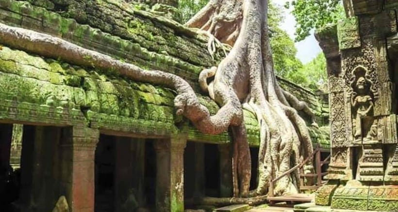 Siem Reap: Angkor and Ta Prohn Ancient Temples 3-Day Tour - FAQ