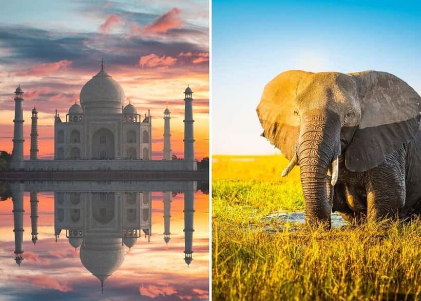 From Delhi: Taj Mahal Sunrise Tour with Elephant SOS Center - Why This Tour Is Worth It