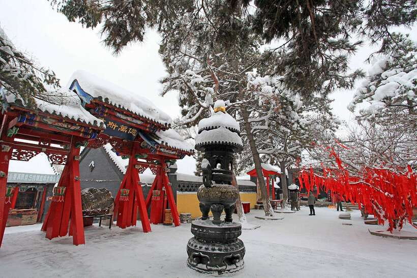 Zhengzhou: Shaolin Temple and Mt. Song Private Day Tour - Good To Know