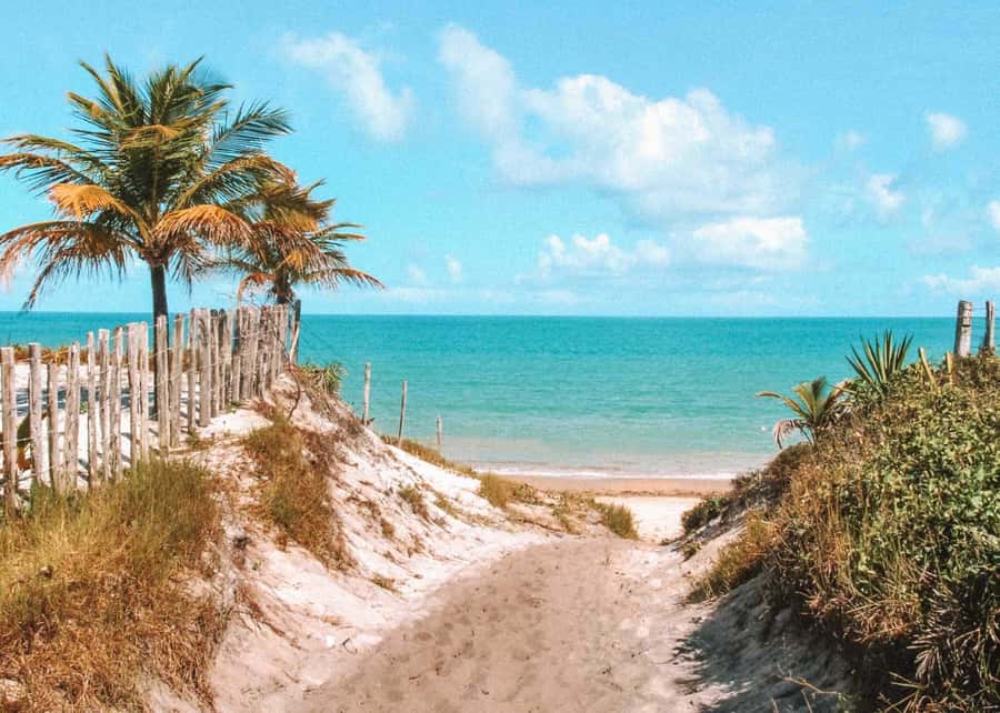 Discover Caraívas Beaches: A Guided Tour in Porto Seguro - Who Should Consider This Tour?