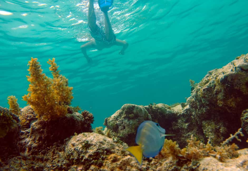 Punta Cana Happy Hour Sailing Cruise - Exploring the Itinerary in Detail