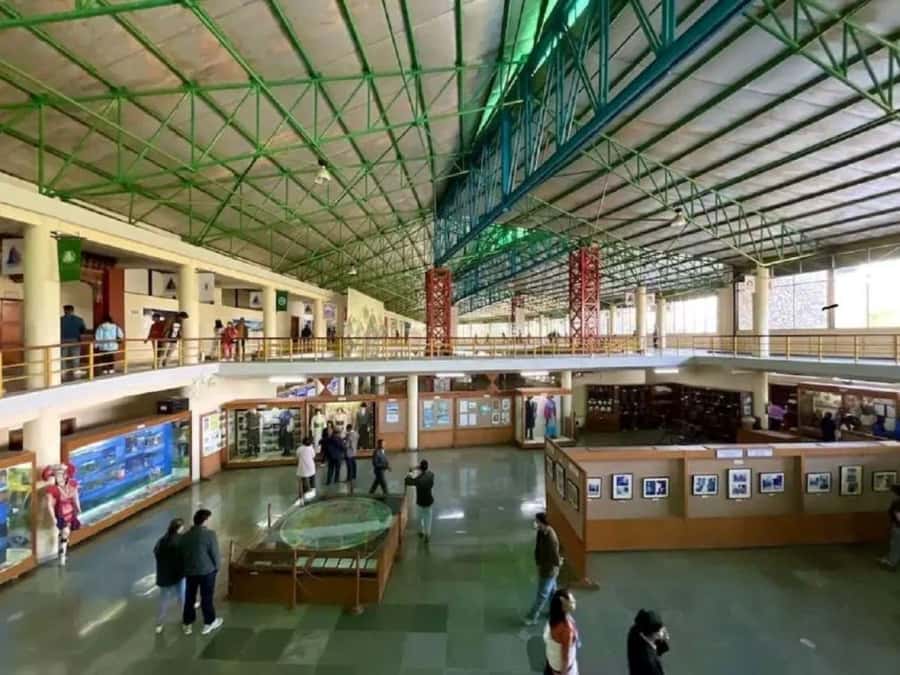 Pokhara: Full-Day Museum Tour with Snacks and Tea - Key Points