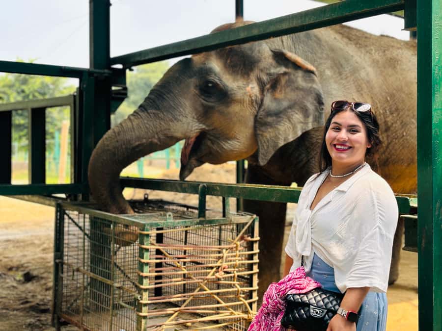 From Delhi: Taj Mahal & Agra Tour With Elephant Conversation - Who Should Consider This Tour?  