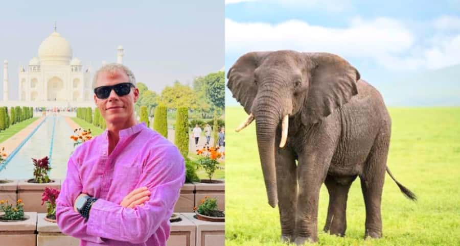 From Delhi: Taj Mahal & Agra Tour With Elephant Conversation - Exploring the Taj Mahal at Sunrise  