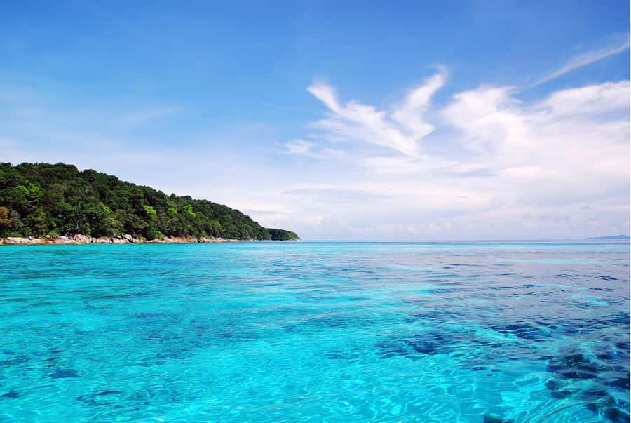 Phuket: Similan Island Day Trip by Speed Boat Catamaran - Who Will Love This Tour?