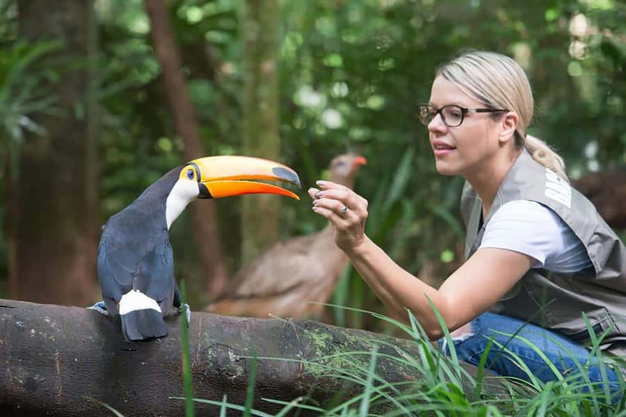 Guided Tour: Brazilian Falls and Exotic Birds at Bird Park - Key Points