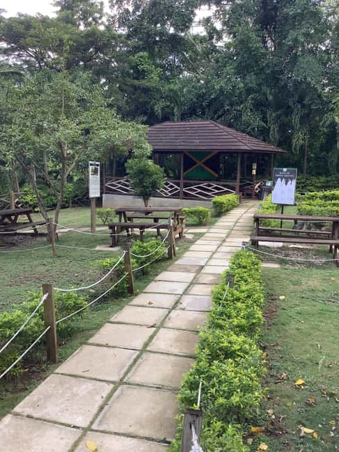 Ocho Rios: Green Grotto Caves Guided Tour with Transfers - Who Should Consider This Tour?