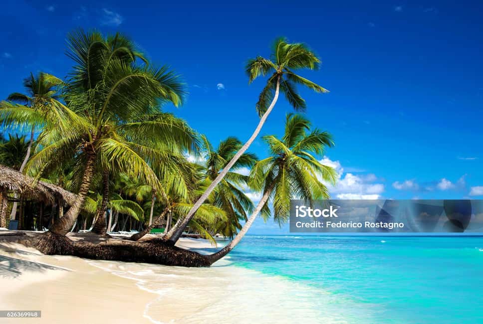 Punta Cana: Saona Island Day Trip with Catamaran Cruise - Practical Details & What to Bring