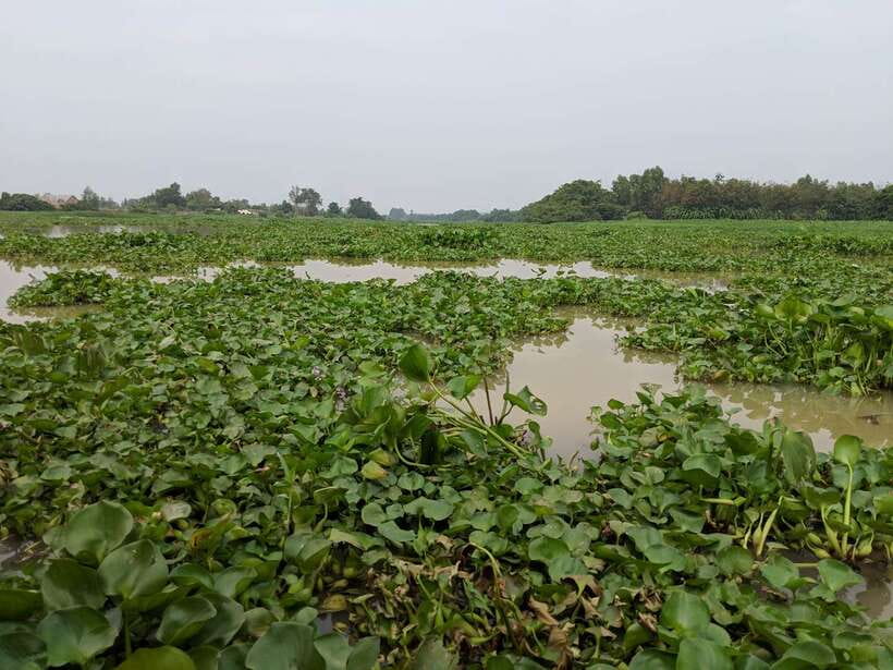 Cu Chi Tunnels & Mekong Delta Small Group Tour Full Day - How the Day Unfolds