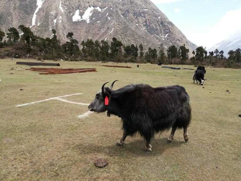 Nepal: Manaslu Circuit Trek with Larkya La Pass - Final Thoughts