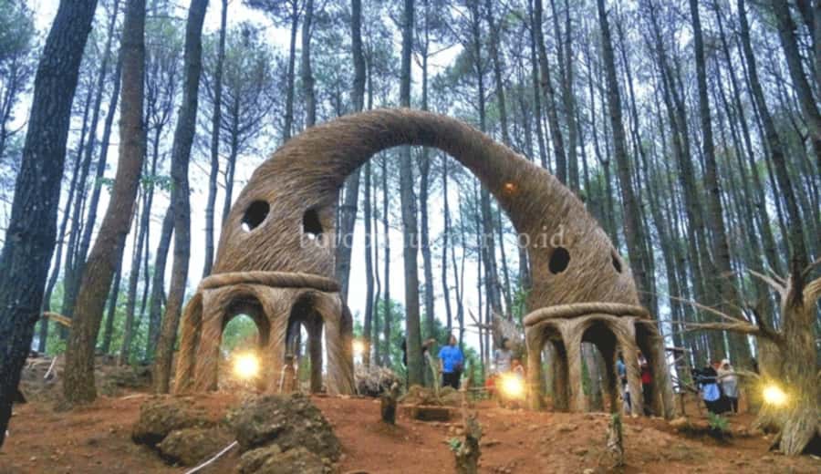 YOGYAKARTA; PINDUL CAVE,SRI GETHUK WATERFALLL & PINE FOREST. - Authentic Experiences and Practical Tips