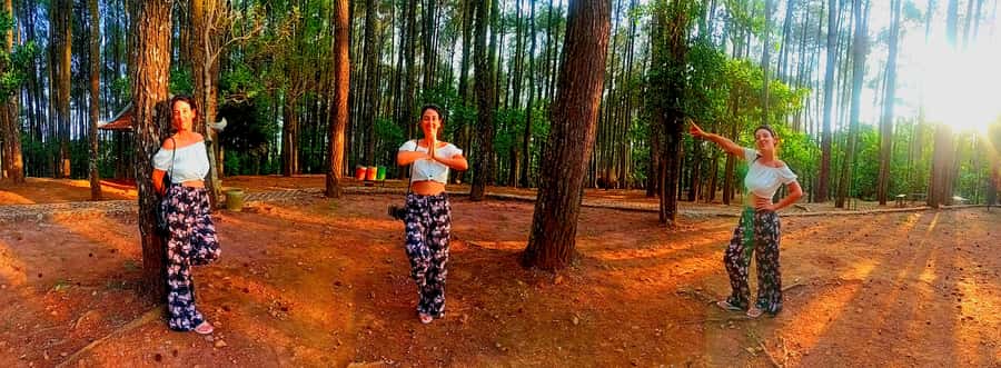 YOGYAKARTA; PINDUL CAVE,SRI GETHUK WATERFALLL & PINE FOREST. - FAQ