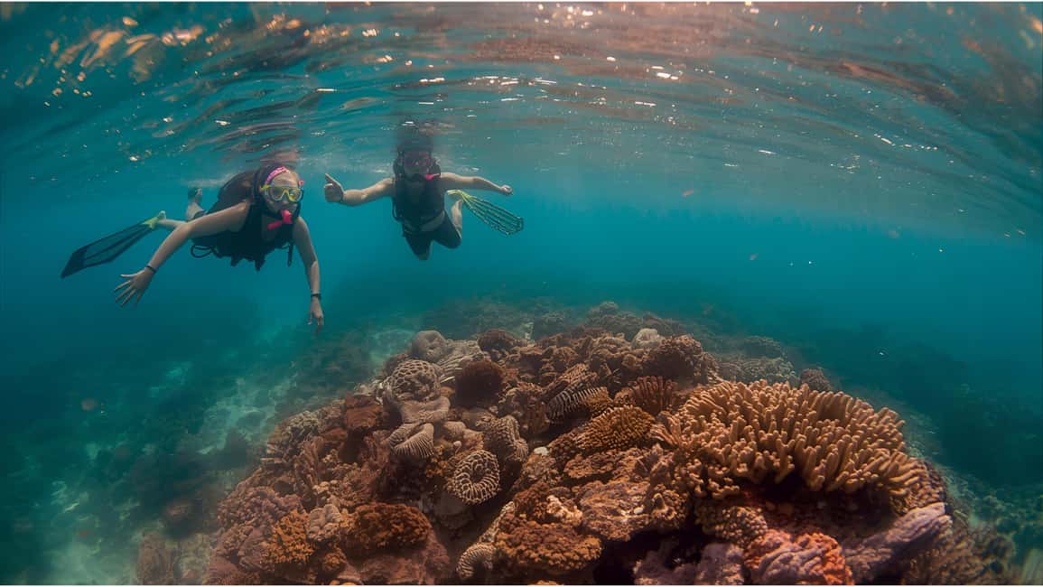 Punta Cana Private Catamaran Cruise: Snorkeling, Beach & BBQ - A Deep Dive into the Punta Cana Private Catamaran Experience