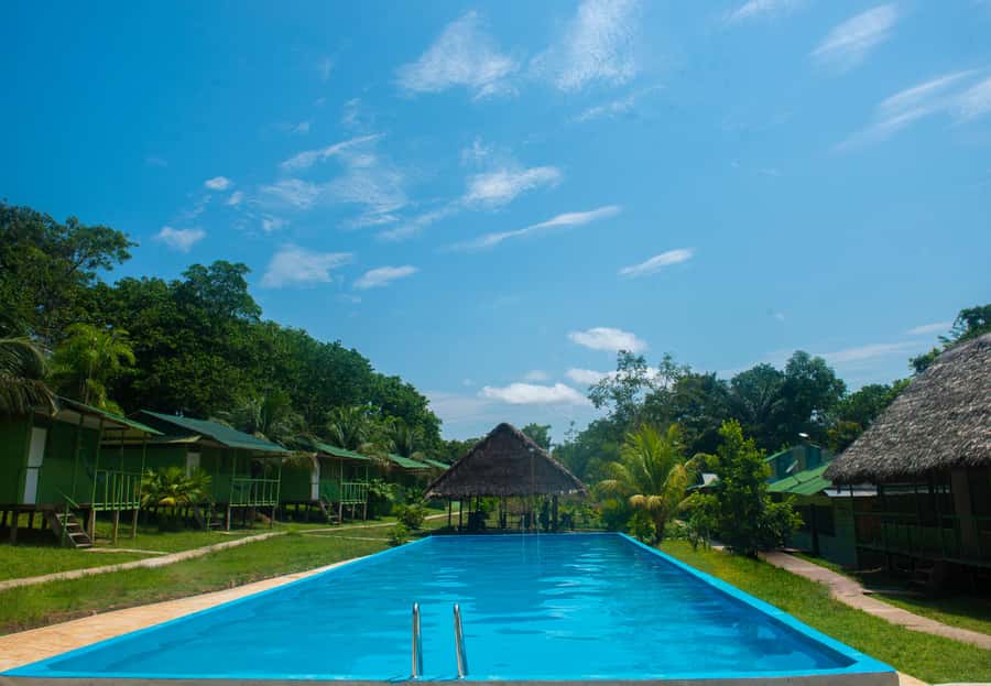 From Iquitos: 7-Day Amazon Jungle Adventure - Day-by-Day Breakdown