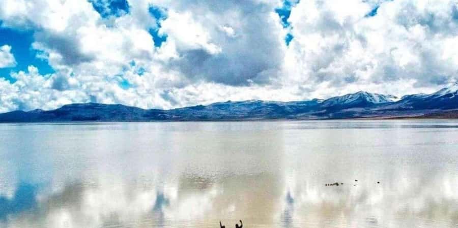 From Arequipa: Excursion to the Salinas Lagoon - Final Thoughts: Is This Tour Right for You?