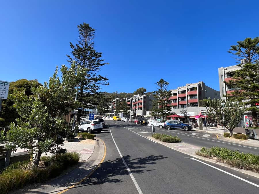 Melbourne: Great Ocean Road Full Day Private Tour - Authentic Insights from Reviews