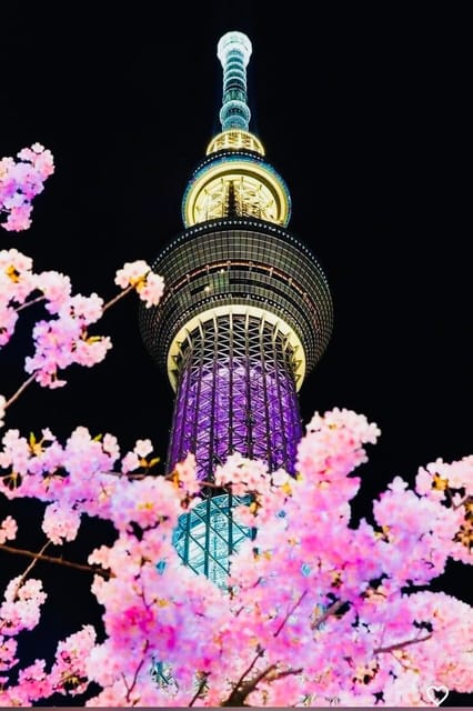 Tokyo Private Day Trip With English Speaking Driver - The Sum Up: Is This Tour Right for You?