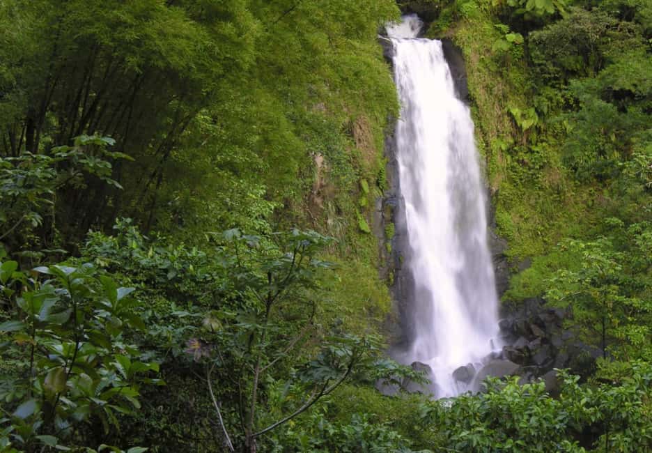 Roseaus Natural Beauty | Private Half-Day Tour - Who Should Consider This Tour