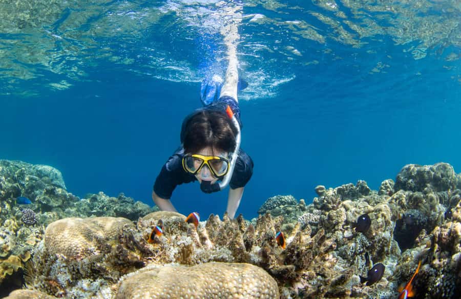 Bali Blue Lagoon Snorkeling and Waterfall Tour - Good To Know