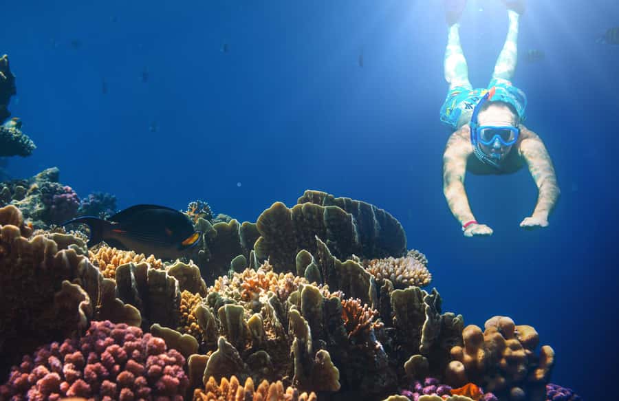 Bali Blue Lagoon Snorkeling and Waterfall Tour - Who Will Love This Tour?