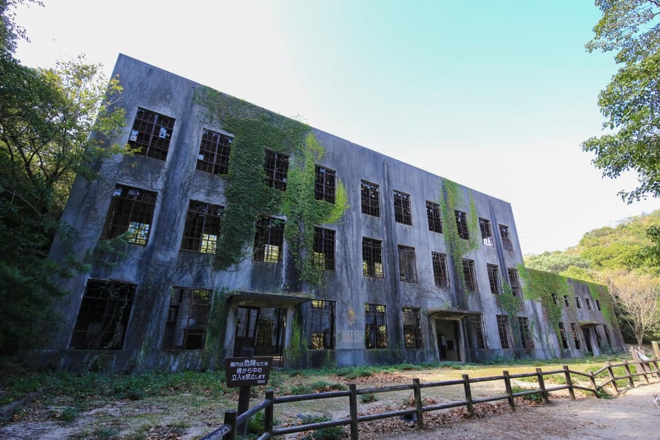 From Hiroshima: Rabbit Island and Takehara Town Tour - Rabbit Encounters and Free Time  